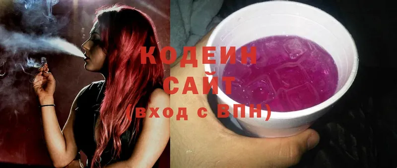 дарнет шоп  Мензелинск  Кодеиновый сироп Lean Purple Drank 