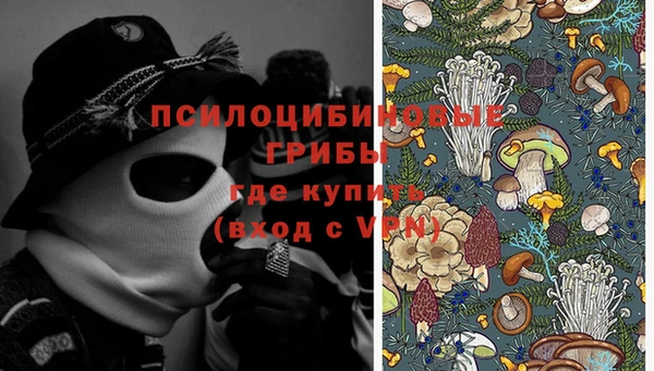 альфа пвп Нягань