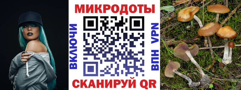 Галлюциногенные грибы Cubensis  купить закладку  Мензелинск 